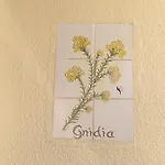 Do Amparo Σαλέ