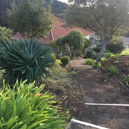 Do Amparo * Ponta do Pargo