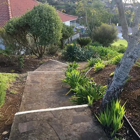 Do Amparo Ponta do Pargo