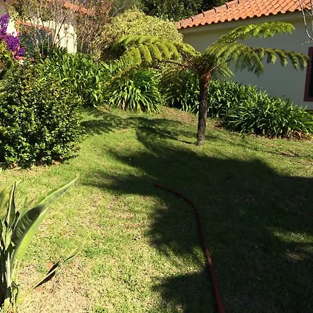 Do Amparo * Ponta do Pargo