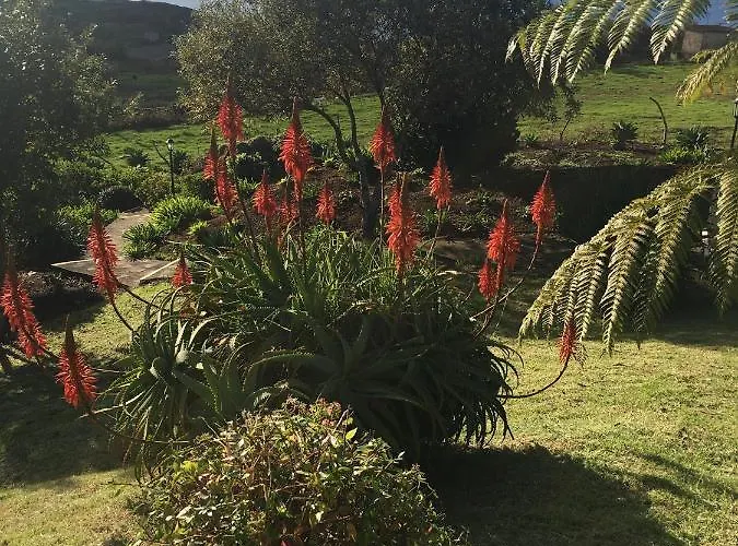 Do Amparo Chalet Ponta do Pargo