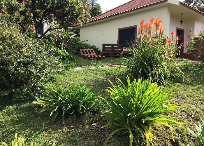 Do Amparo Ponta do Pargo