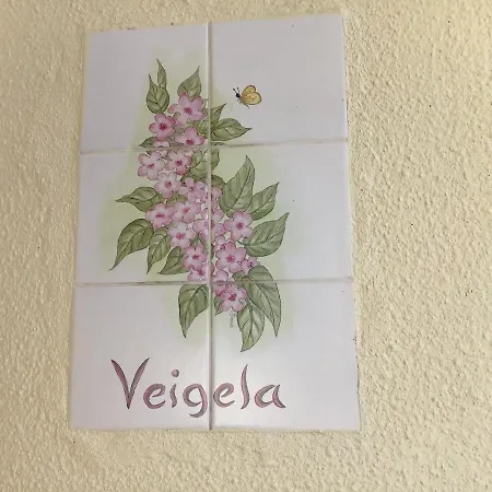 Do Amparo Ponta do Pargo