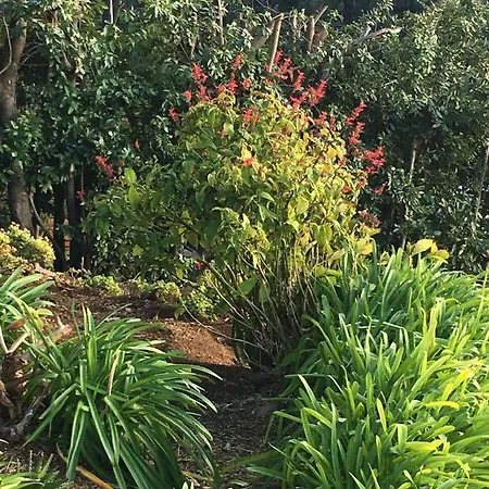 Chalet Do Amparo Ponta do Pargo