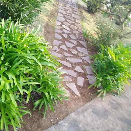 Σαλέ Do Amparo *