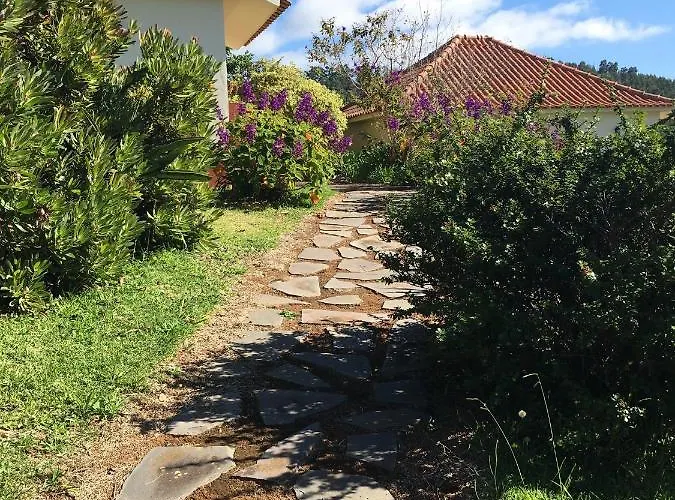 Do Amparo Ponta do Pargo