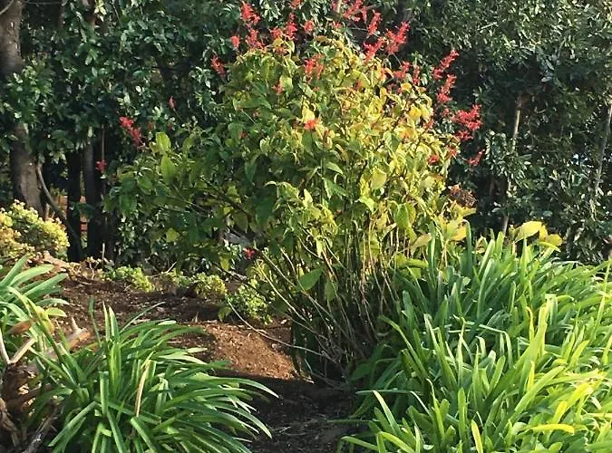 Chalet Do Amparo Ponta do Pargo