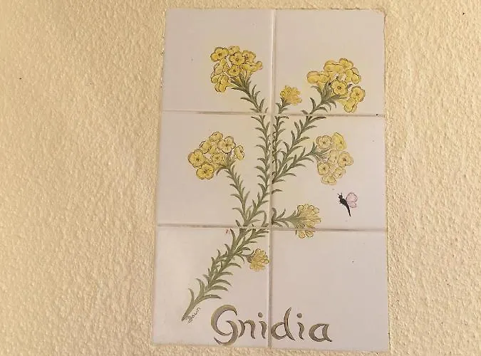 Do Amparo 木屋