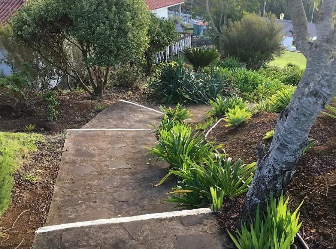 Do Amparo Ponta do Pargo