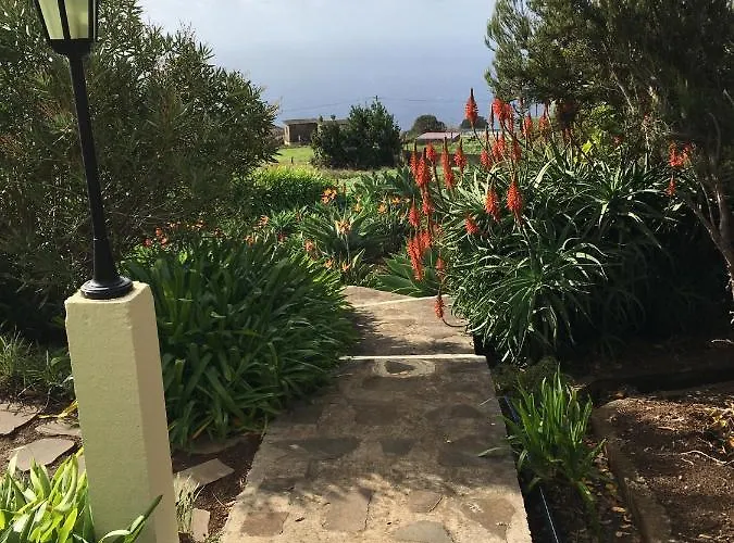 Do Amparo Ponta do Pargo