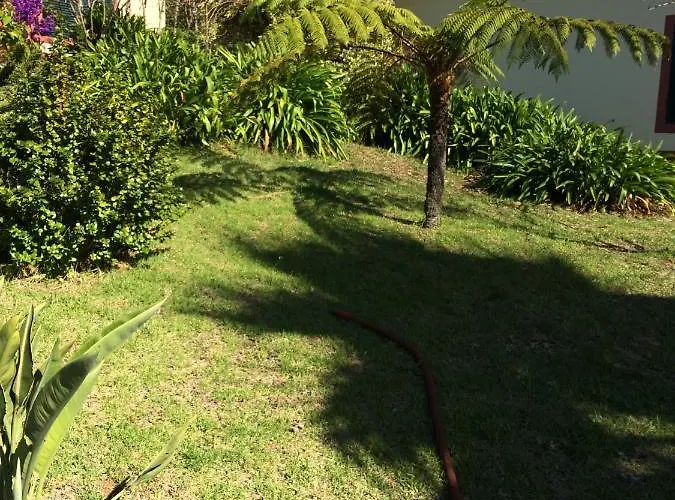 Do Amparo * Ponta do Pargo